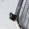 Toyota Cargo Barrier for Landcruiser Prado – Rusty – No Brackets