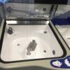 Medivators Advantage Plus Automated Reprocessing System Washer Disinfector Steriliser