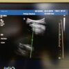 Philips C9-4 Curved Array Ultrasound Transducer Probe – IU22
